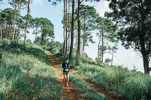 BIB: 
                            <button type="button" onclick="openModal(25676887)" class="btn btn-primary btn-sm float-right btn-popup" data-toggle="modal" data-target=".modal-high-quality">
                        <i class="fas fa-shopping-cart"></i> Add to Cart
                    </button>
                                            <button type="button" onclick="isThisMe(25676887, true)" class="btn btn-success btn-sm float-right btn-popup btn-isme hidden" data-toggle="tooltip" data-placement="bottom" title="นี่คือรูปของคุณใช่ไหม คลิกที่นี่เพื่อเอาเข้าอัลบั้ม">
                        <i class="fas fa-plus"></i> Add to album
                    </button>
                    <button type="button" onclick="isThisMe(25676887, false)" class="btn btn-warning btn-sm float-right btn-popup btn-isnotme hidden">
                        <i class="fas fa-ban"></i> Remove from album
                    </button>